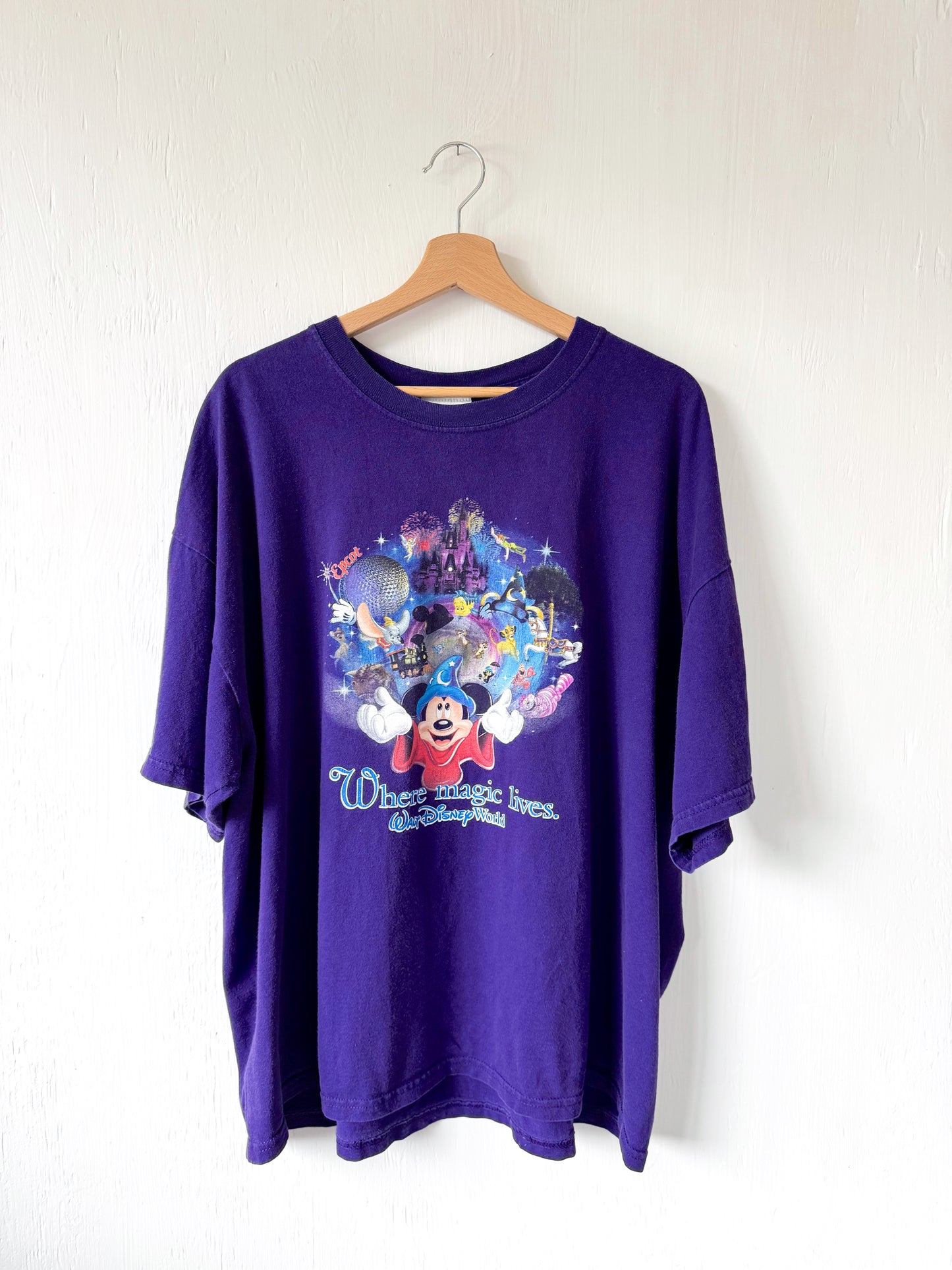 VINTAGE WDW Parks + Characters Tee - 2/3X