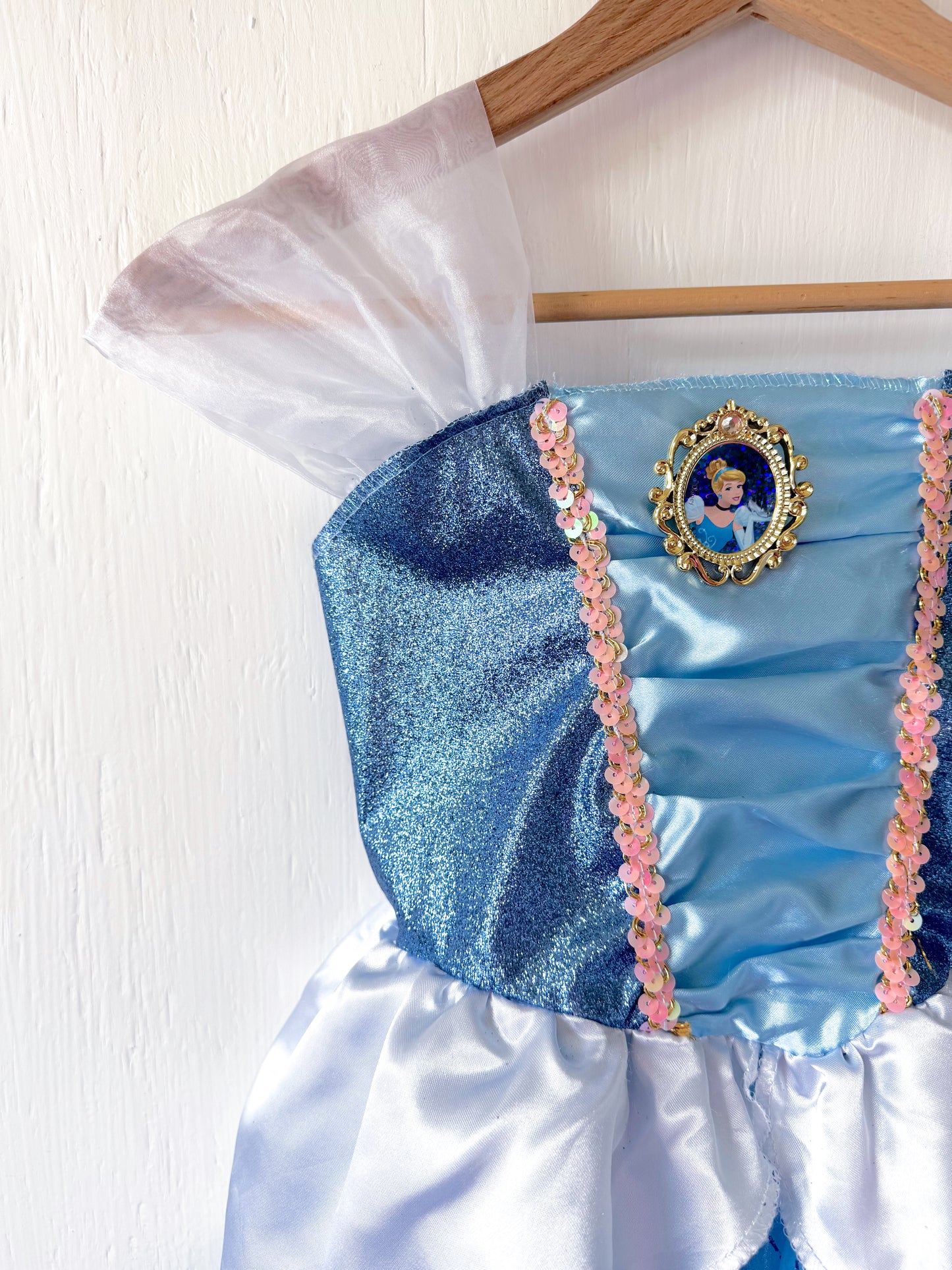 Cinderella Knee Length Dress - 4/6X
