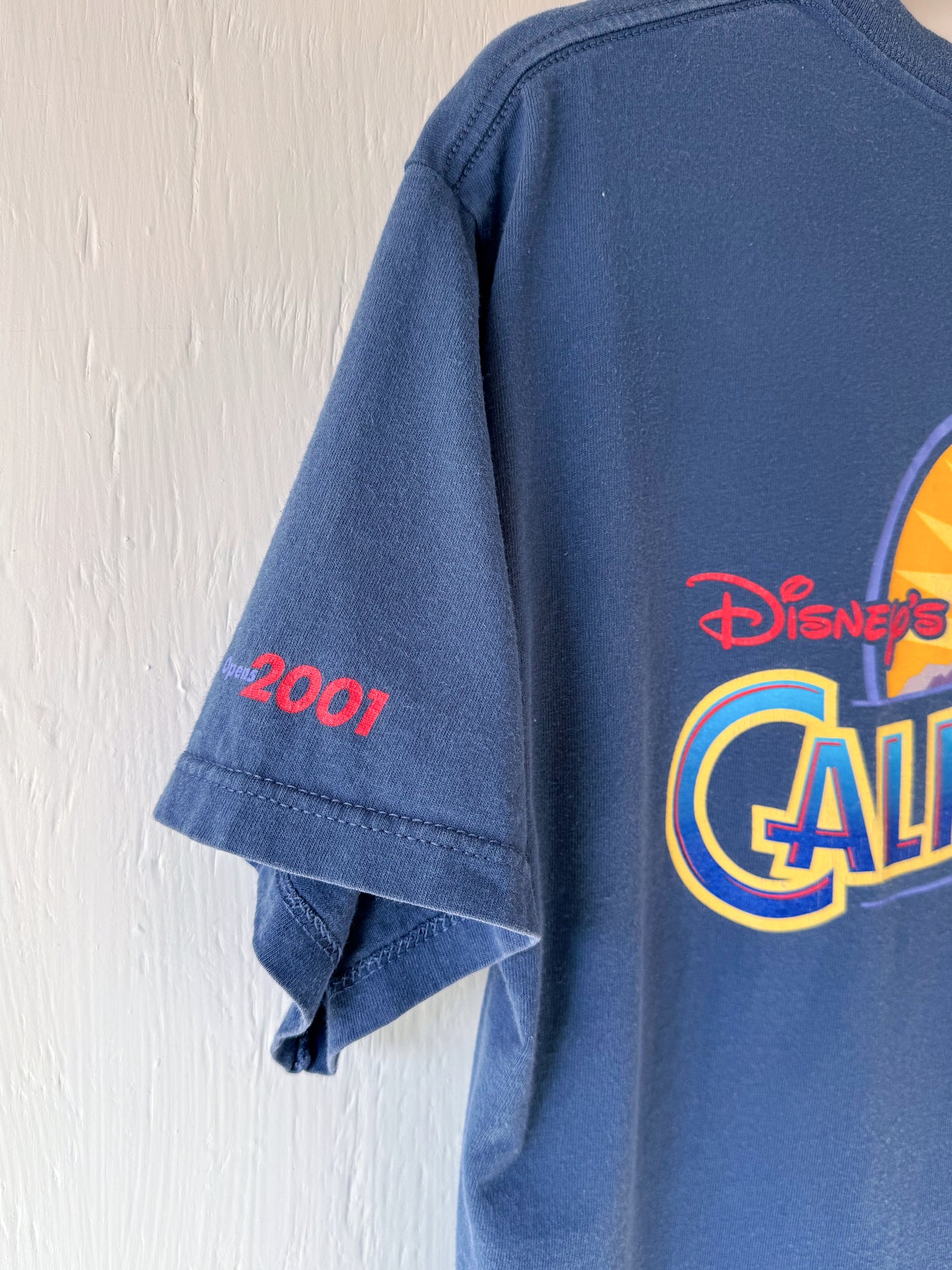 VINTAGE ‘01 California Adventure Tee - L