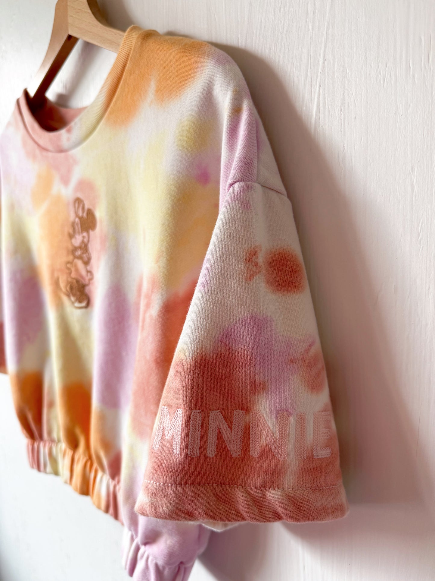 Disney Parks Embroidered Cropped Crewneck - L