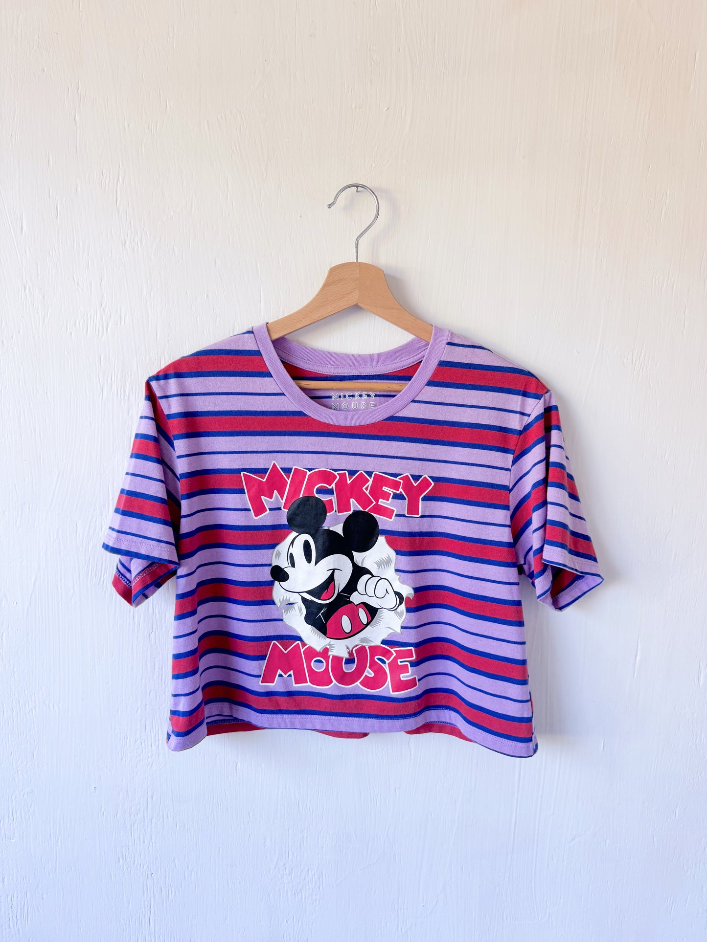 Striped Mickey Cropped Tee - M