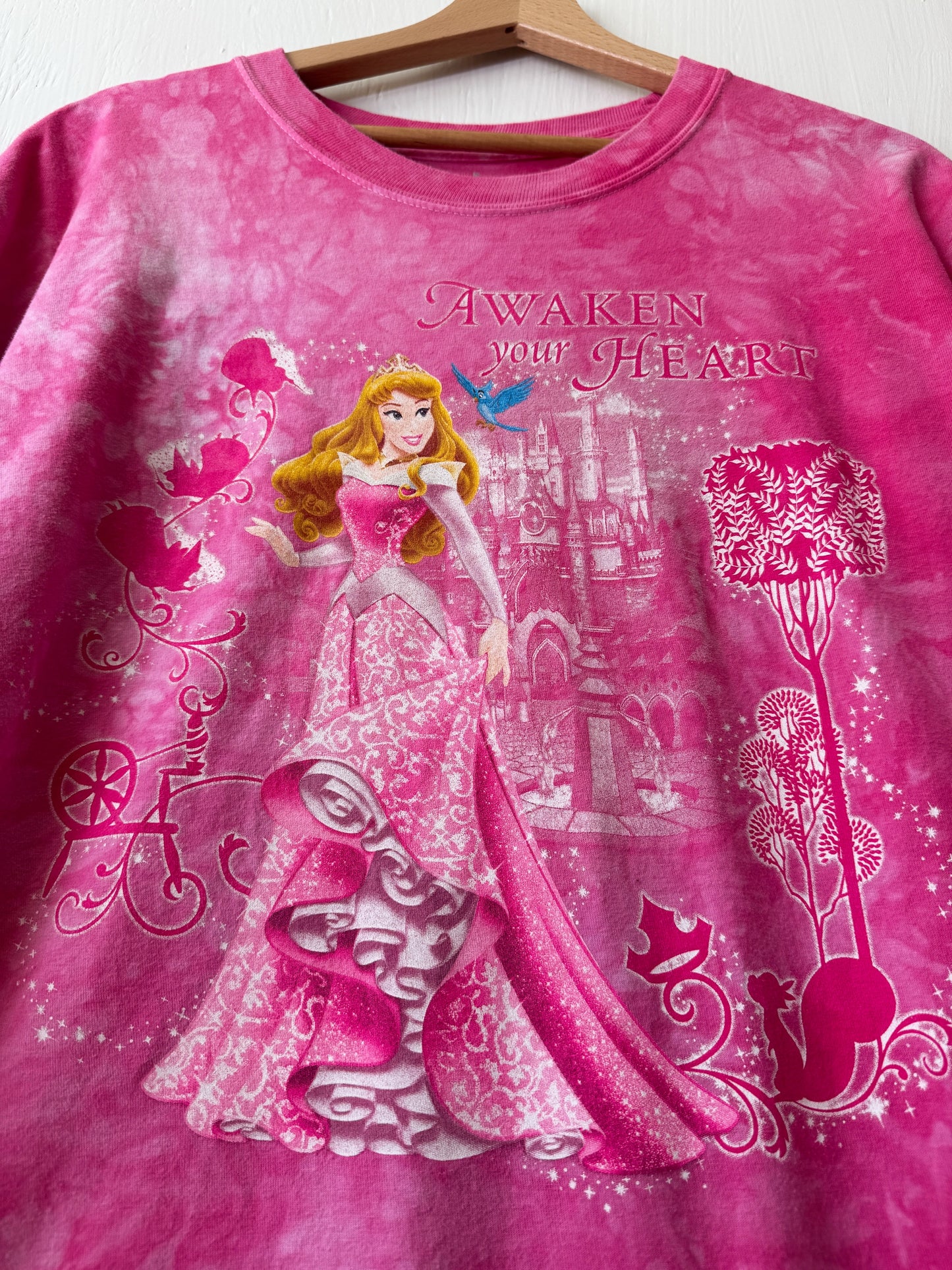 Disney Parks Aurora Tie Dye Tee - 2X