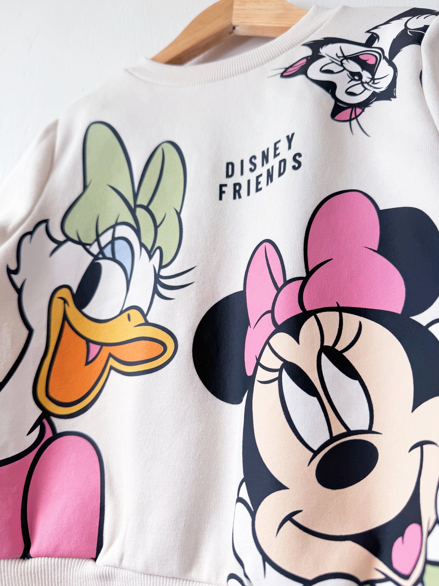 Neutral Disney Friends Character Crewneck - 3/4T