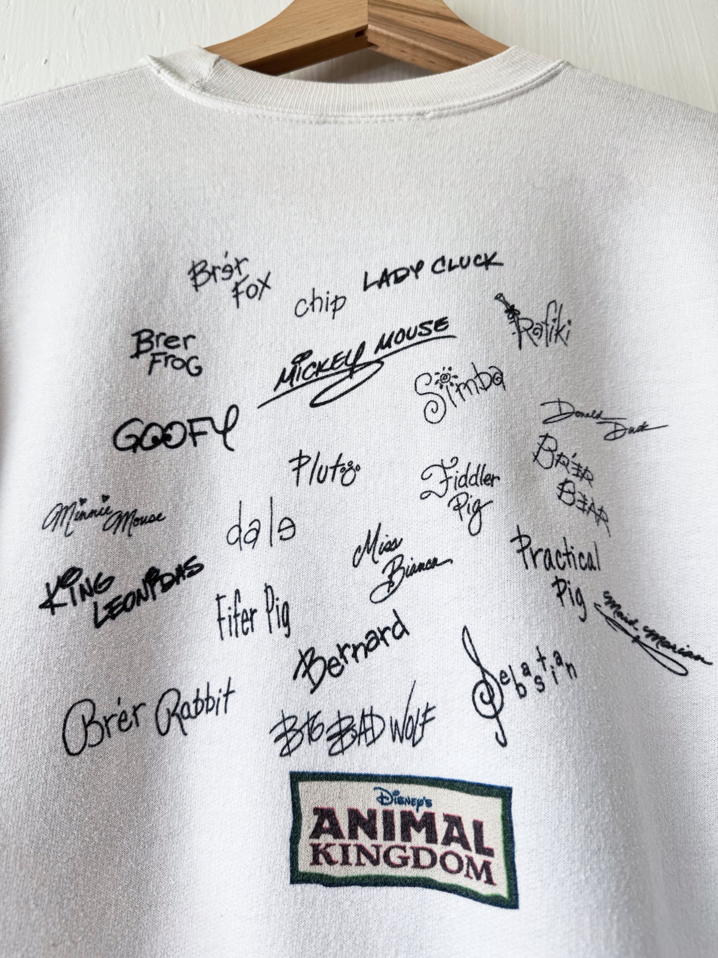 VINTAGE Rare Animal Kingdom Character Signatures Crewneck - M
