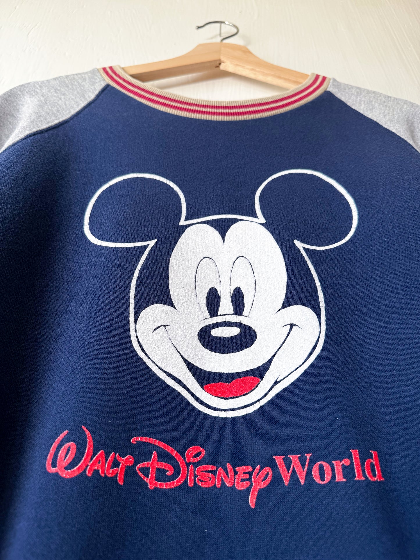 VINTAGE Rare 90’s Classic Raglan WDW Crewneck - XL