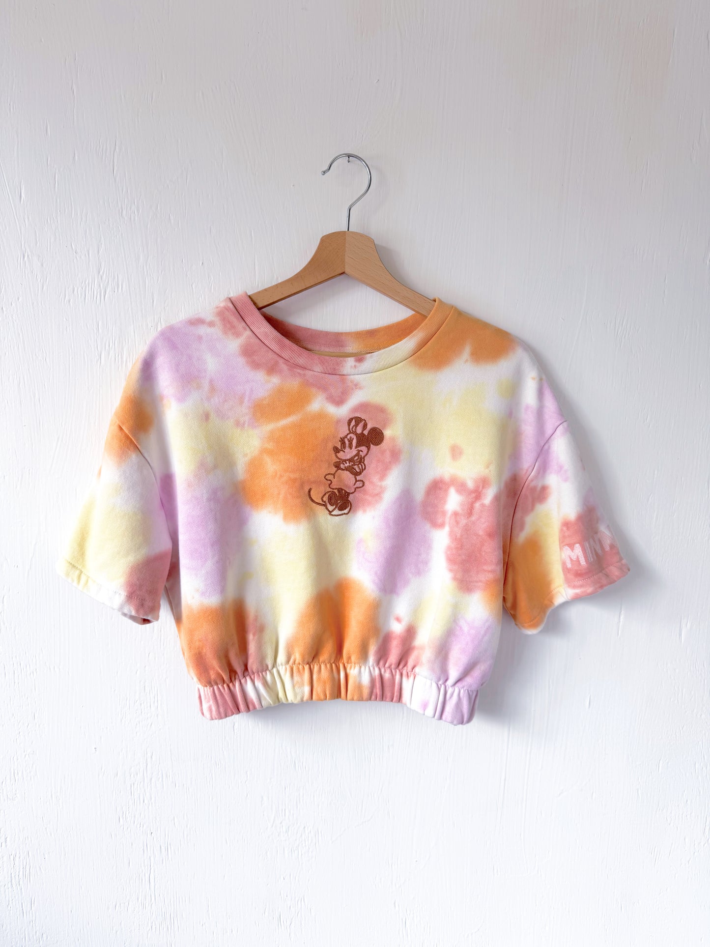 Disney Parks Embroidered Cropped Crewneck - L