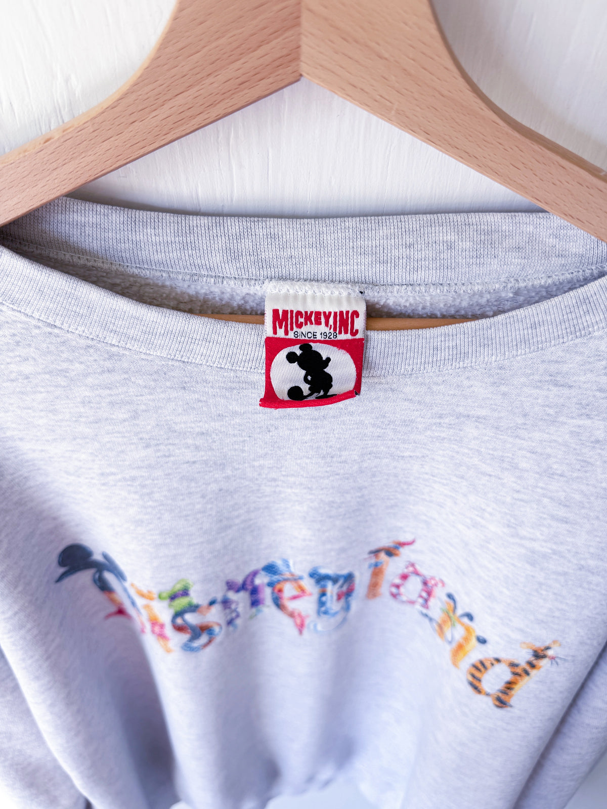 VINTAGE 90’s Disneyland Character Crewneck - 2X