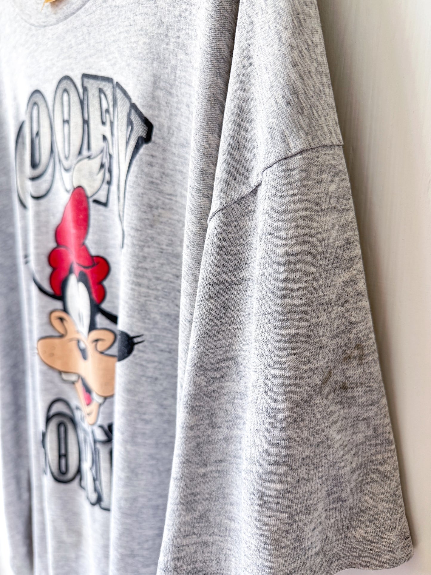 VINTAGE 90’s Goofy In FL Tee - 3X