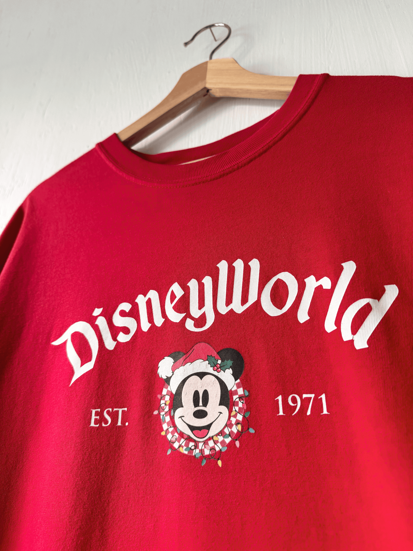 Comfort Colors DisneyWorld Holiday Tee - XL