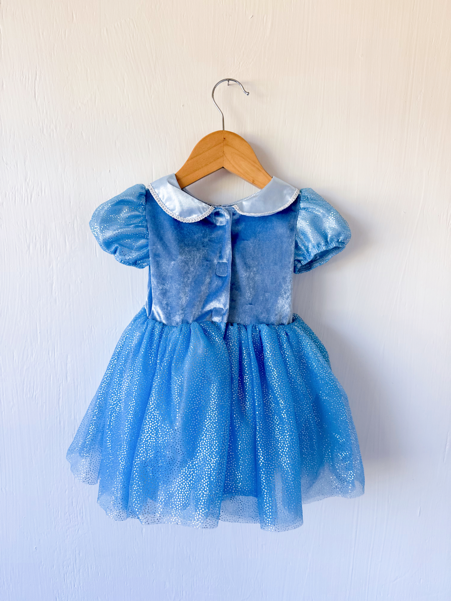 Cinderella Collared Dress - 18M