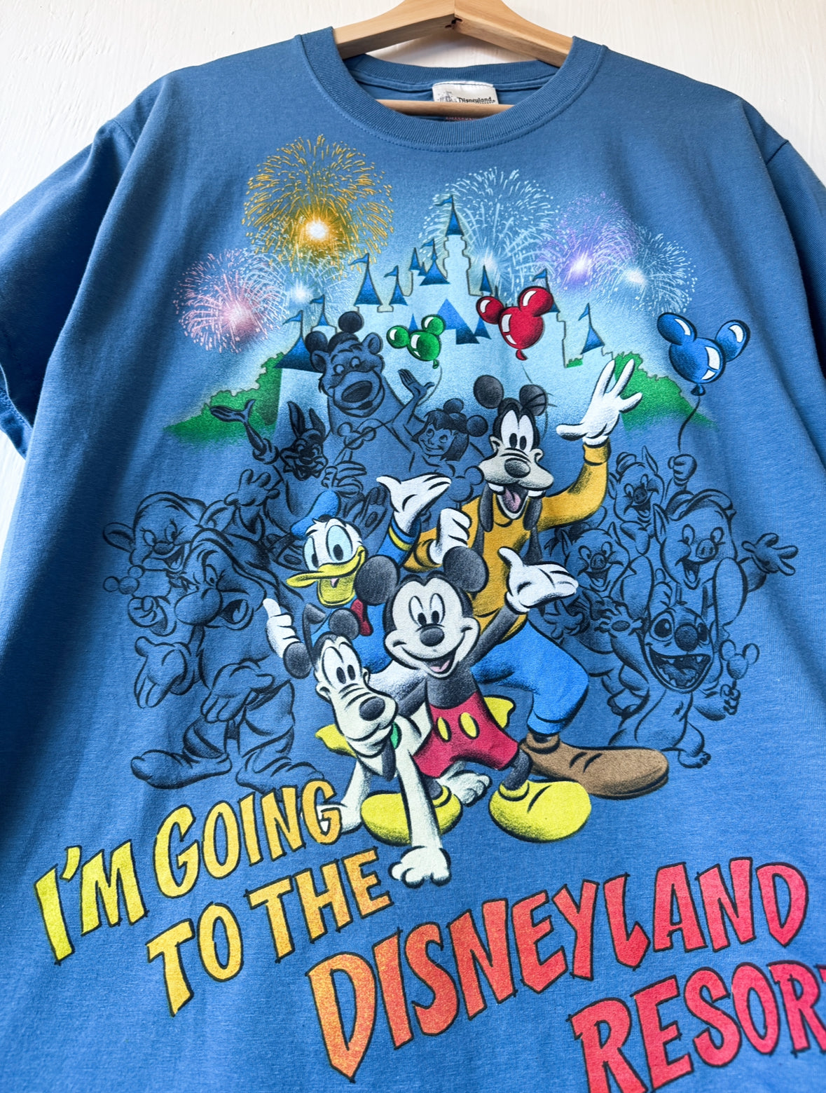 VINTAGE Going To Disneyland Tee - M