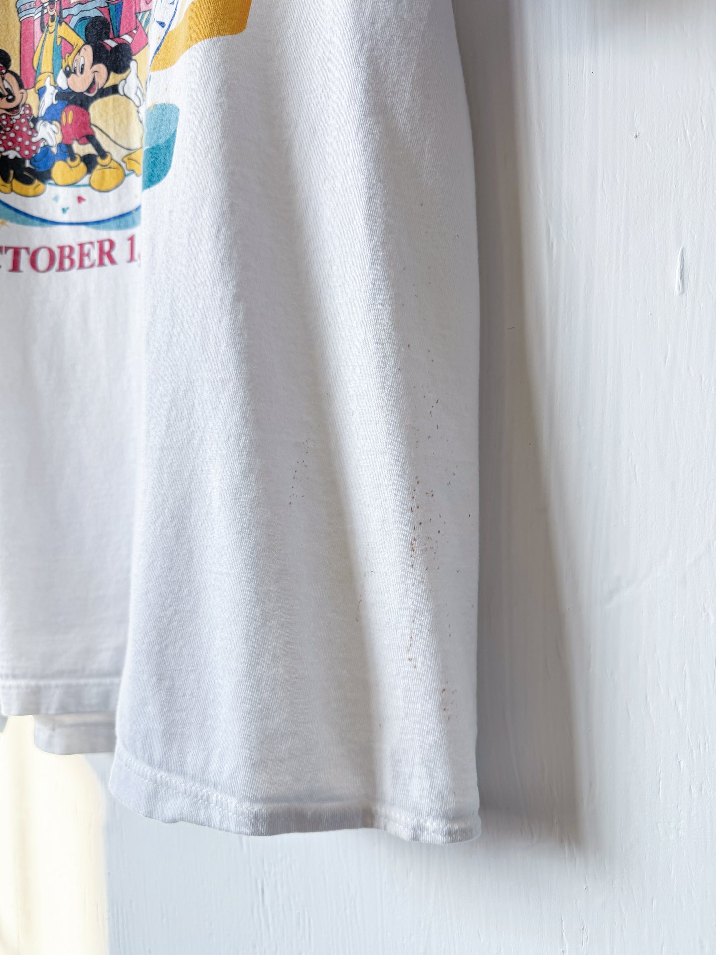 VINTAGE 1996 Cake Castle Tee - L