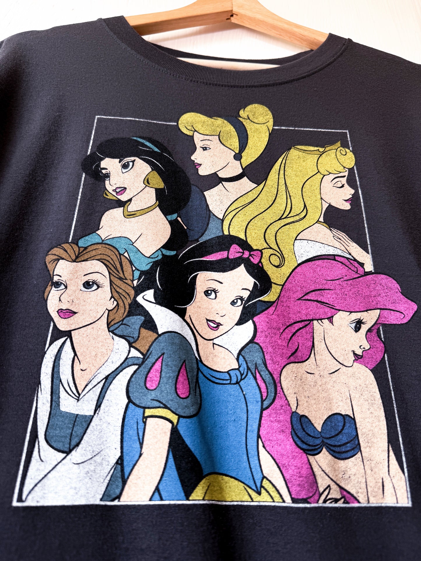 Princess Portraits Tee - 2X