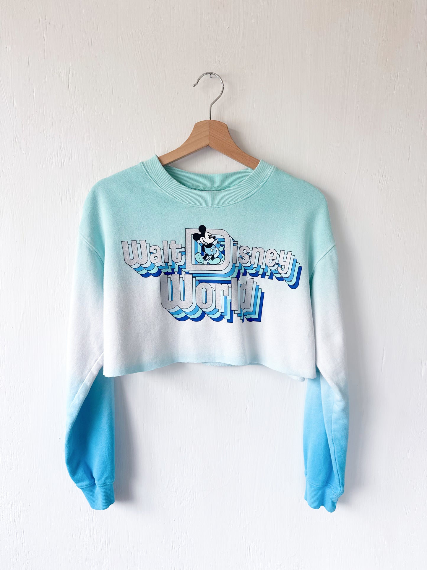 WDW Cropped Crewneck Sweatshirt - XS / YXL