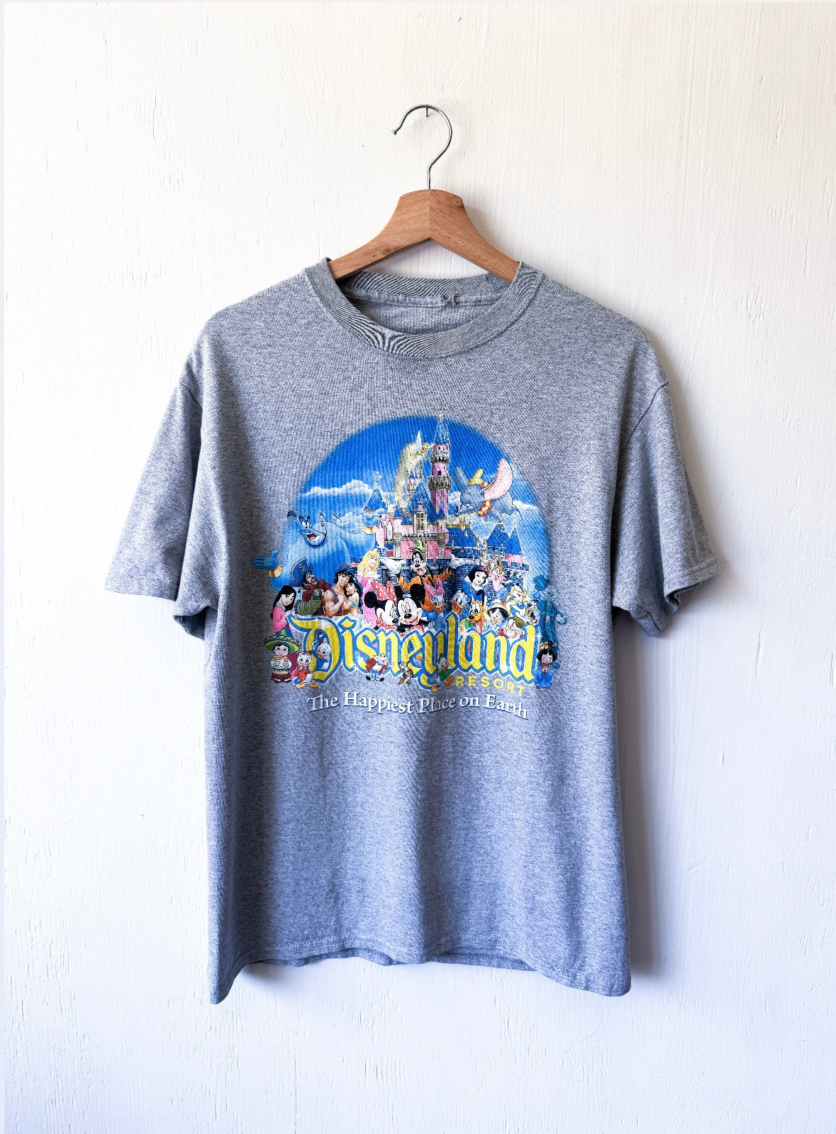 Disney Parks Disneyland Characters Tee - M