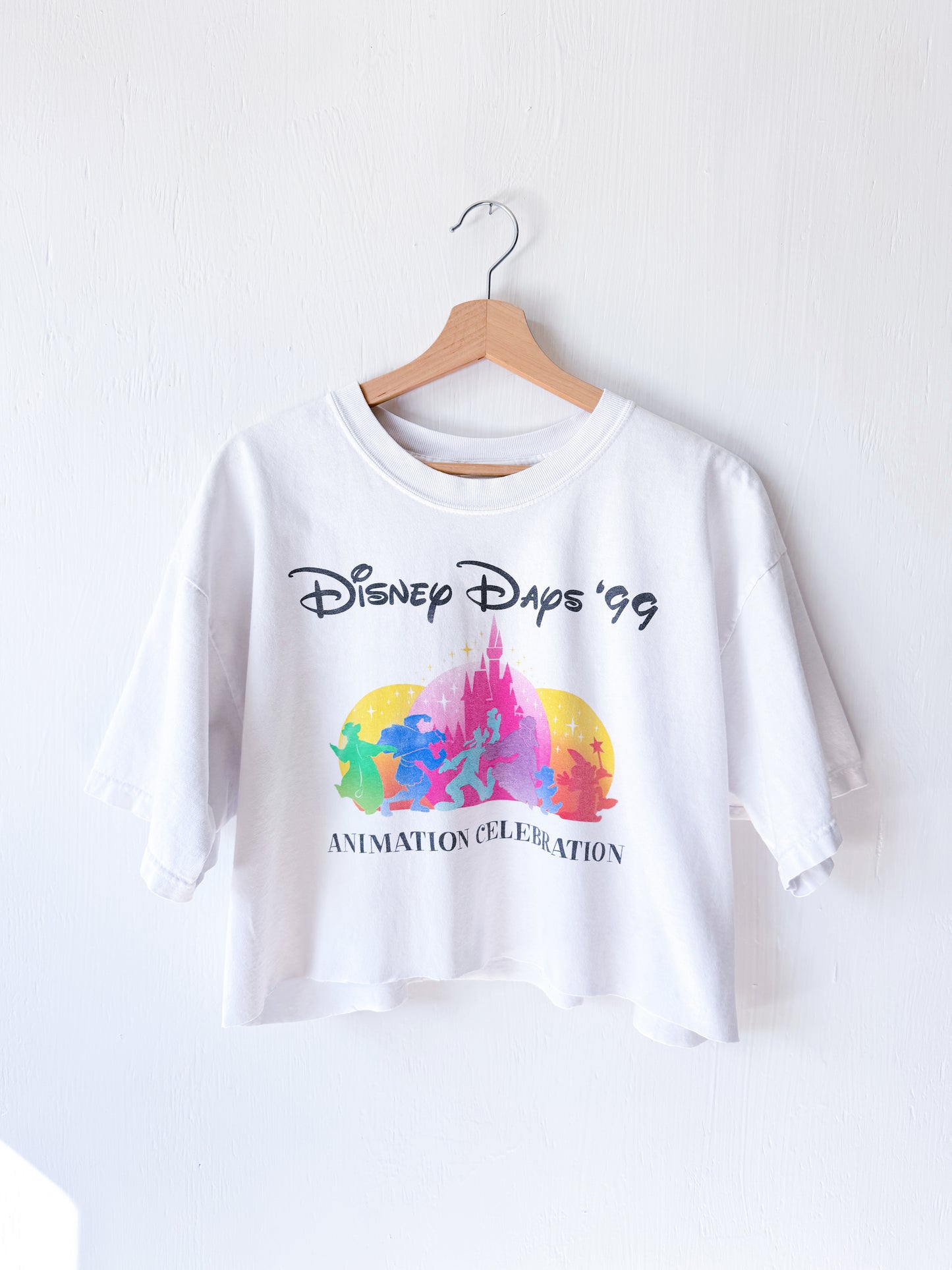 VINTAGE 1999 Rare Animation Celebration Tee - XL
