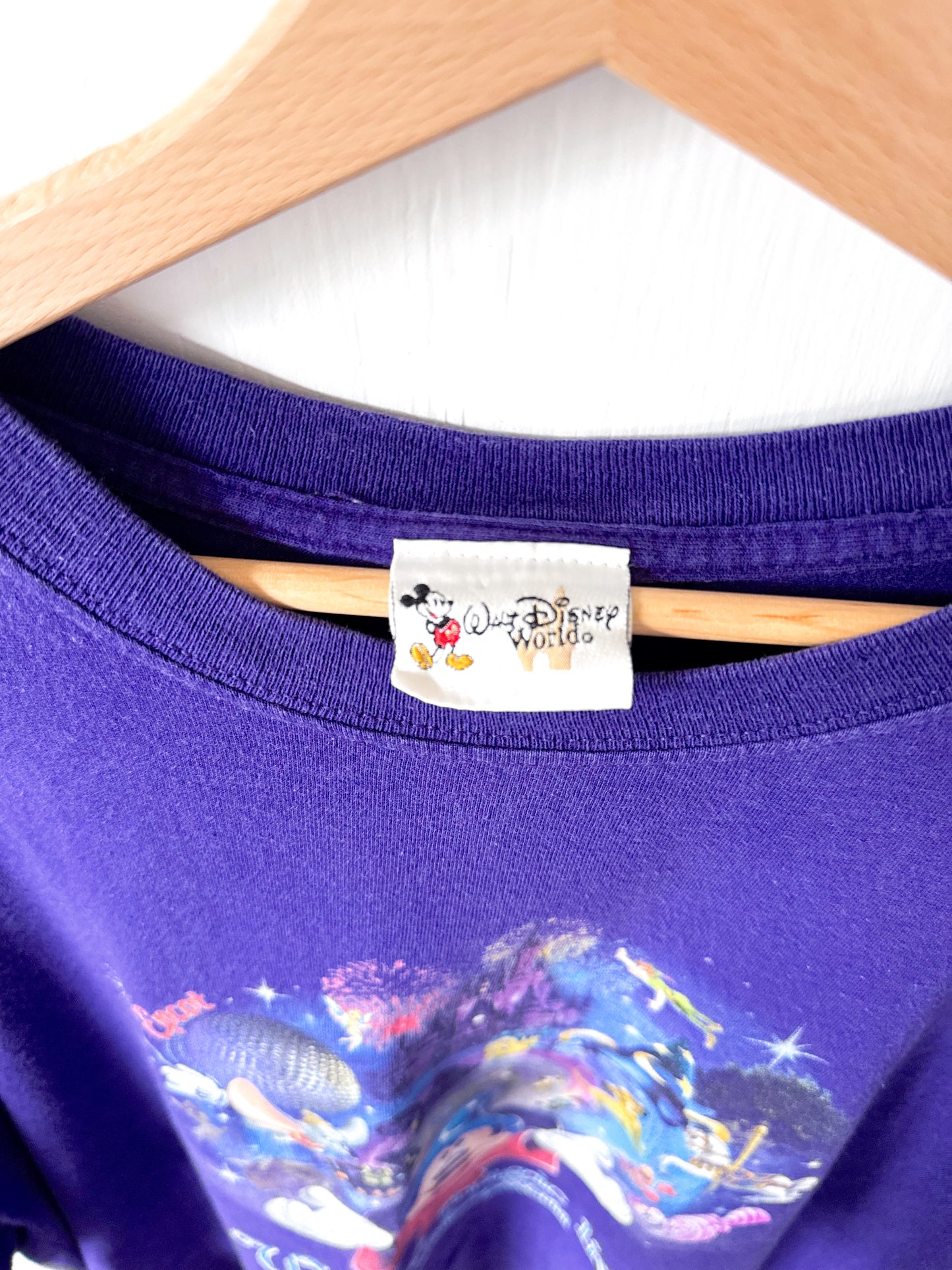 VINTAGE WDW Parks + Characters Tee - 2/3X