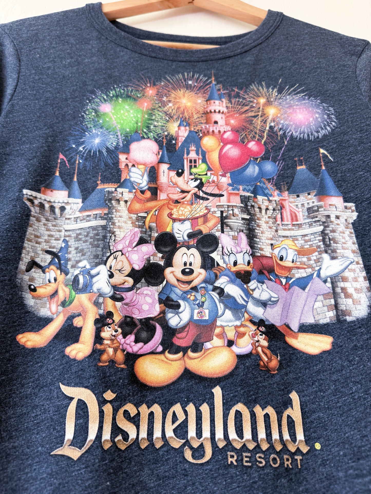 Disney Parks Disneyland Castle Tee - S