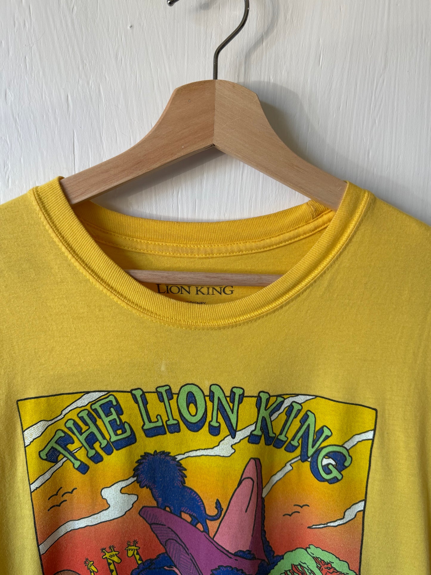 Lion King Graphic Pride Rock Tee - M