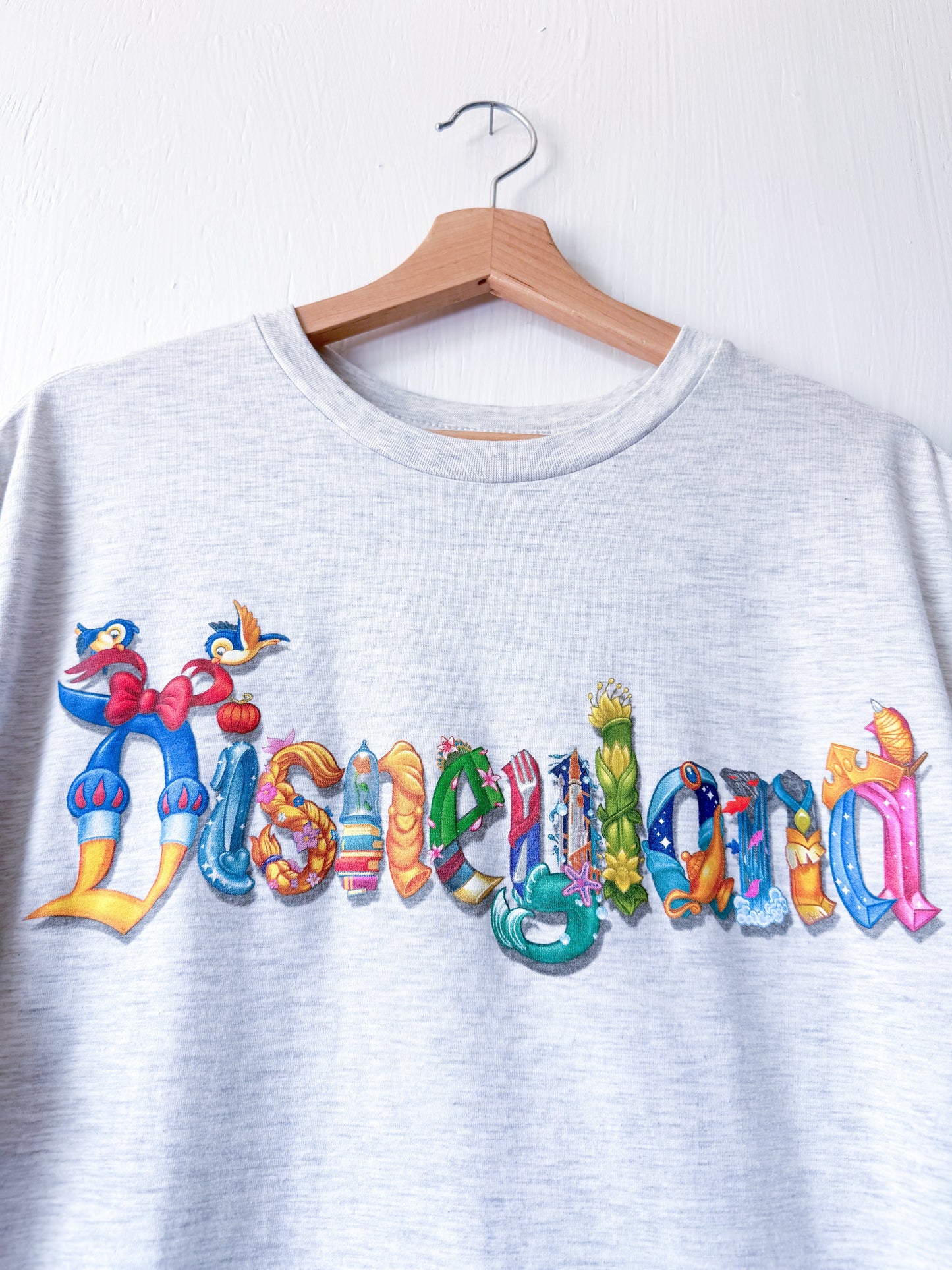 Disneyland Princess Tee - XL