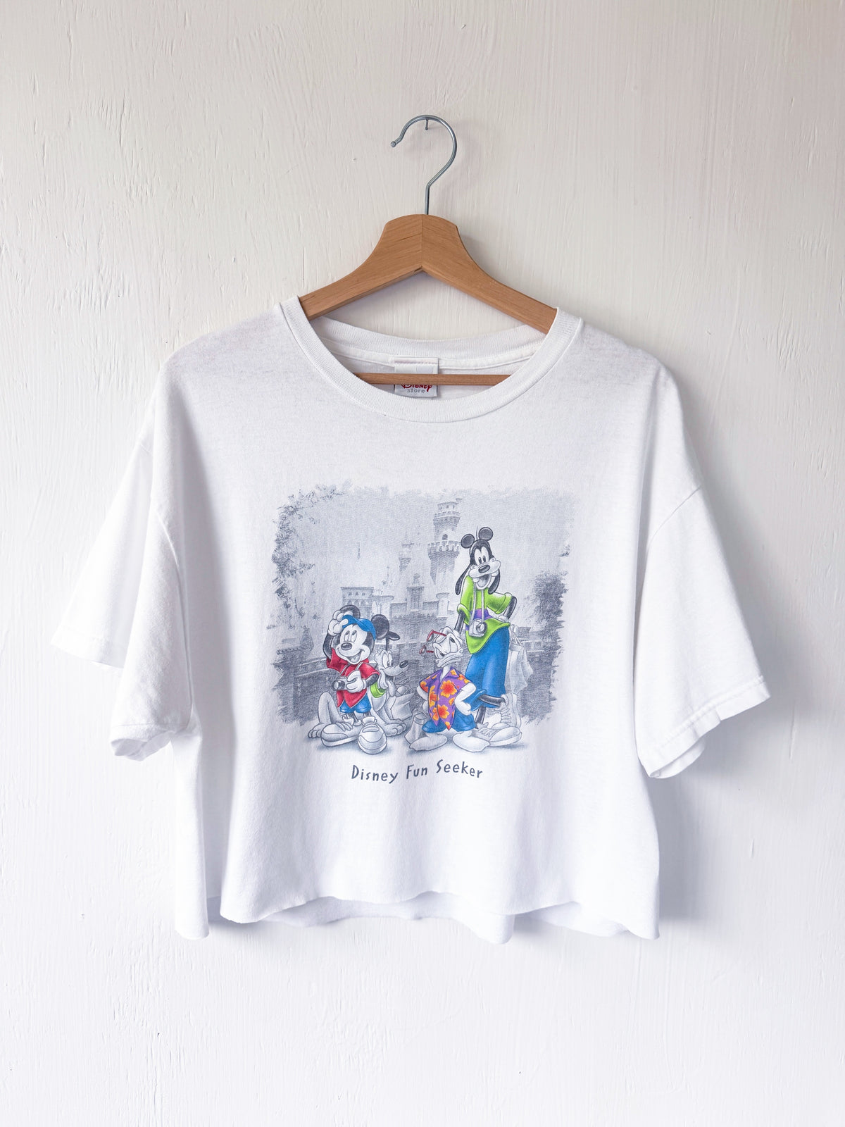 VINTAGE 90’s Fun Seeker Castle Cropped Tee - L