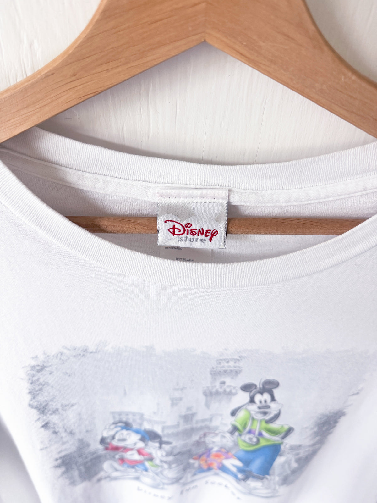 VINTAGE 90’s Fun Seeker Castle Cropped Tee - L