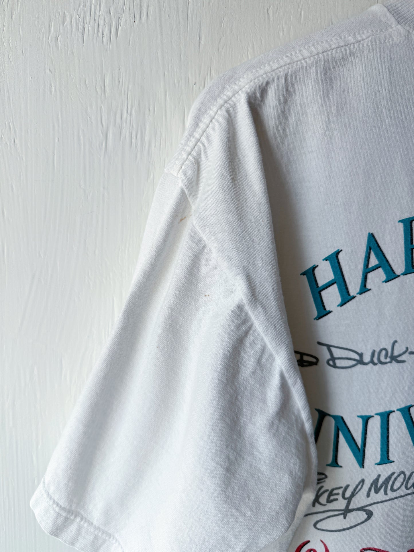 VINTAGE 1996 Cake Castle Tee - L