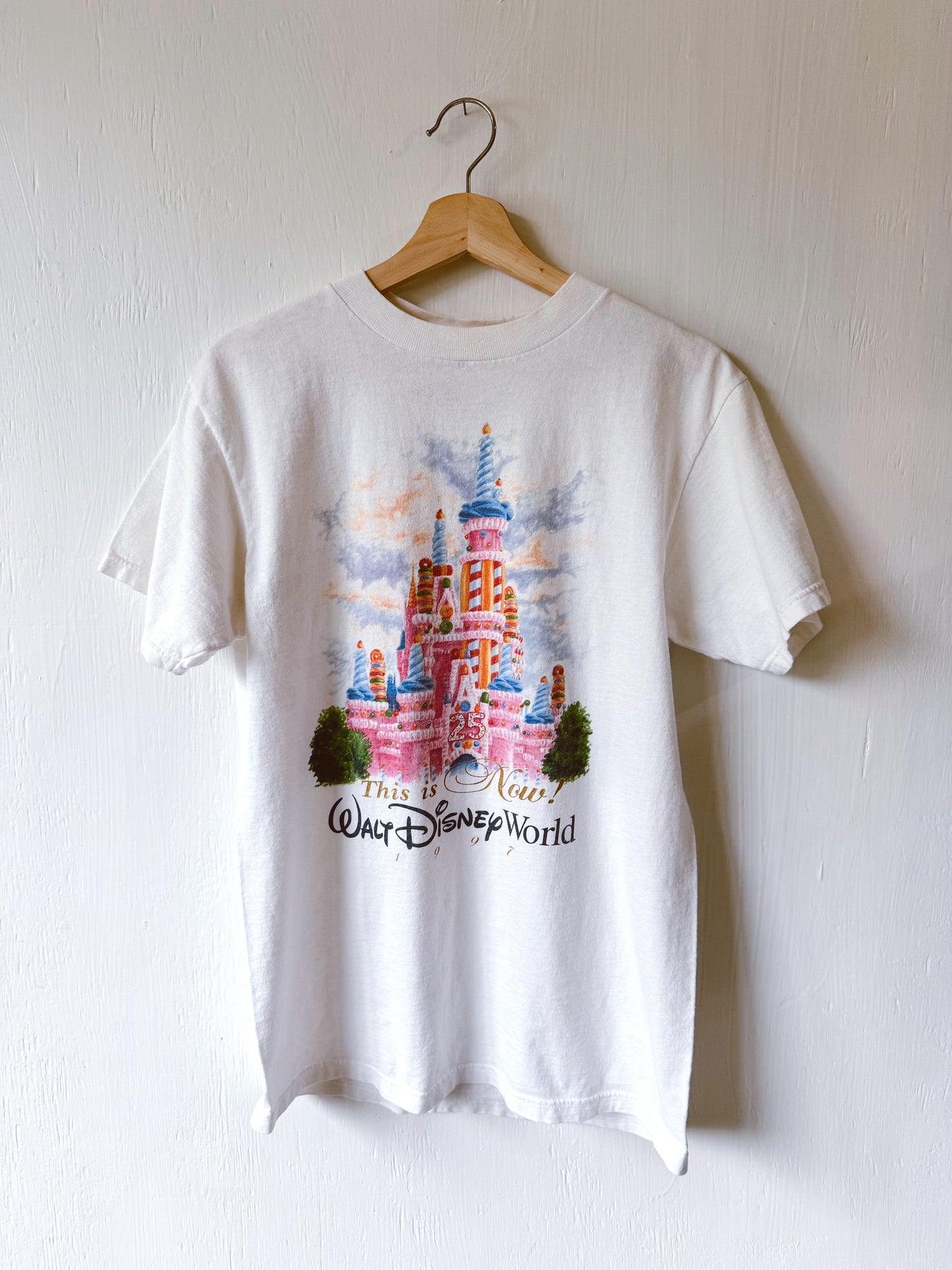 VINTAGE Rare '97 Cake Castle Tee - M