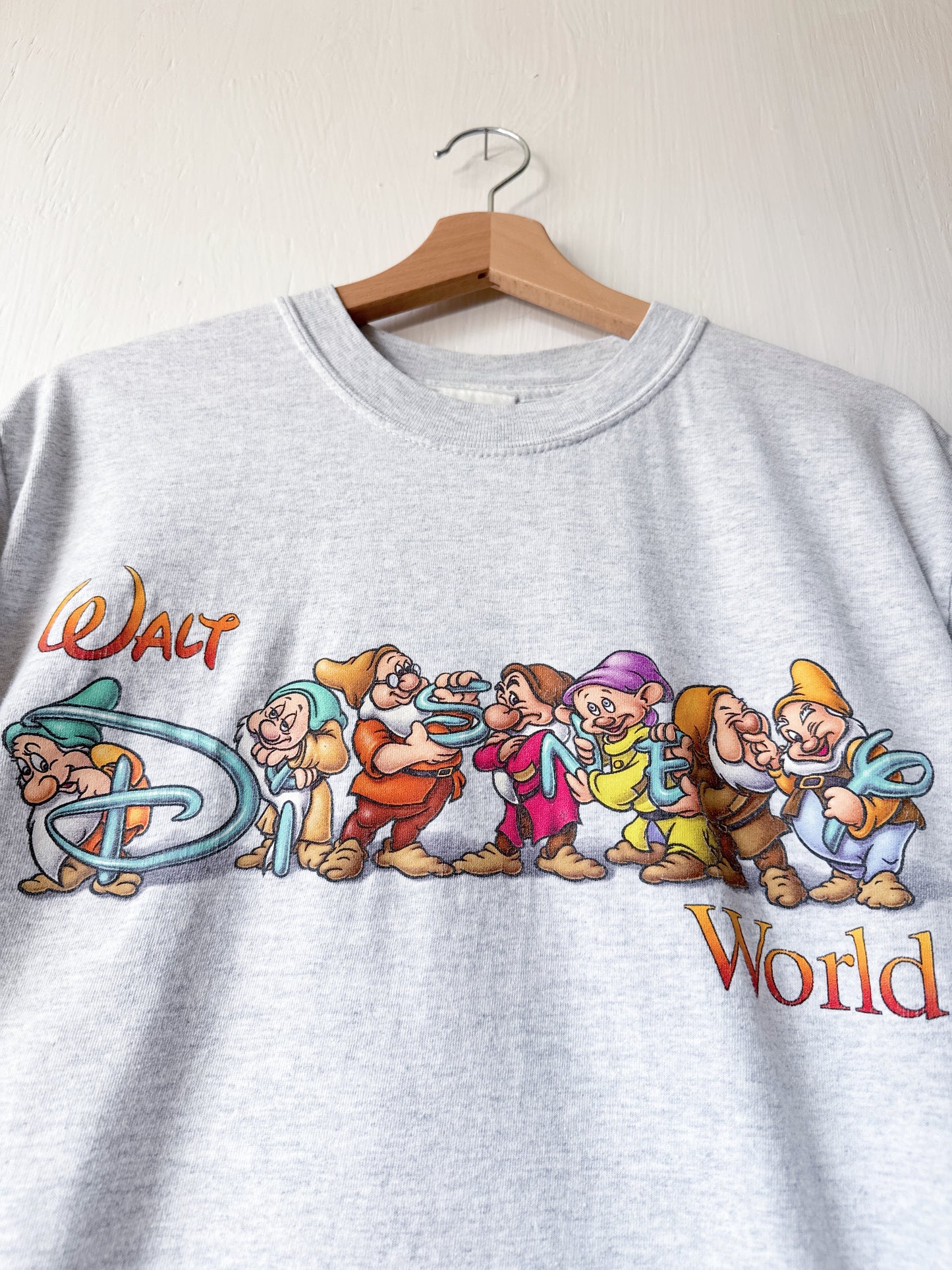 VINTAGE Seven Dwarfs WDW Tee - M