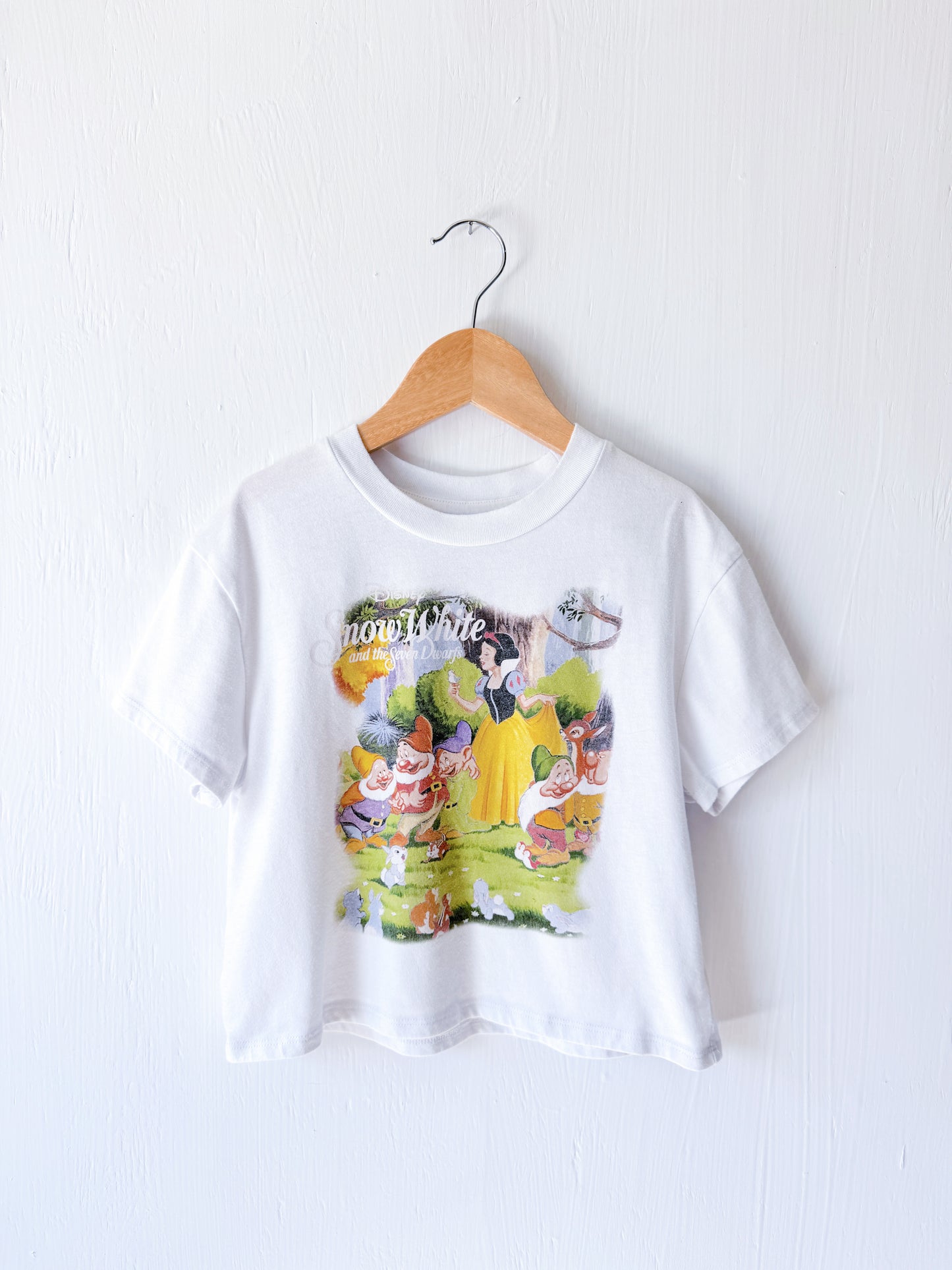 Snow White Scene Boxy Tee - YS