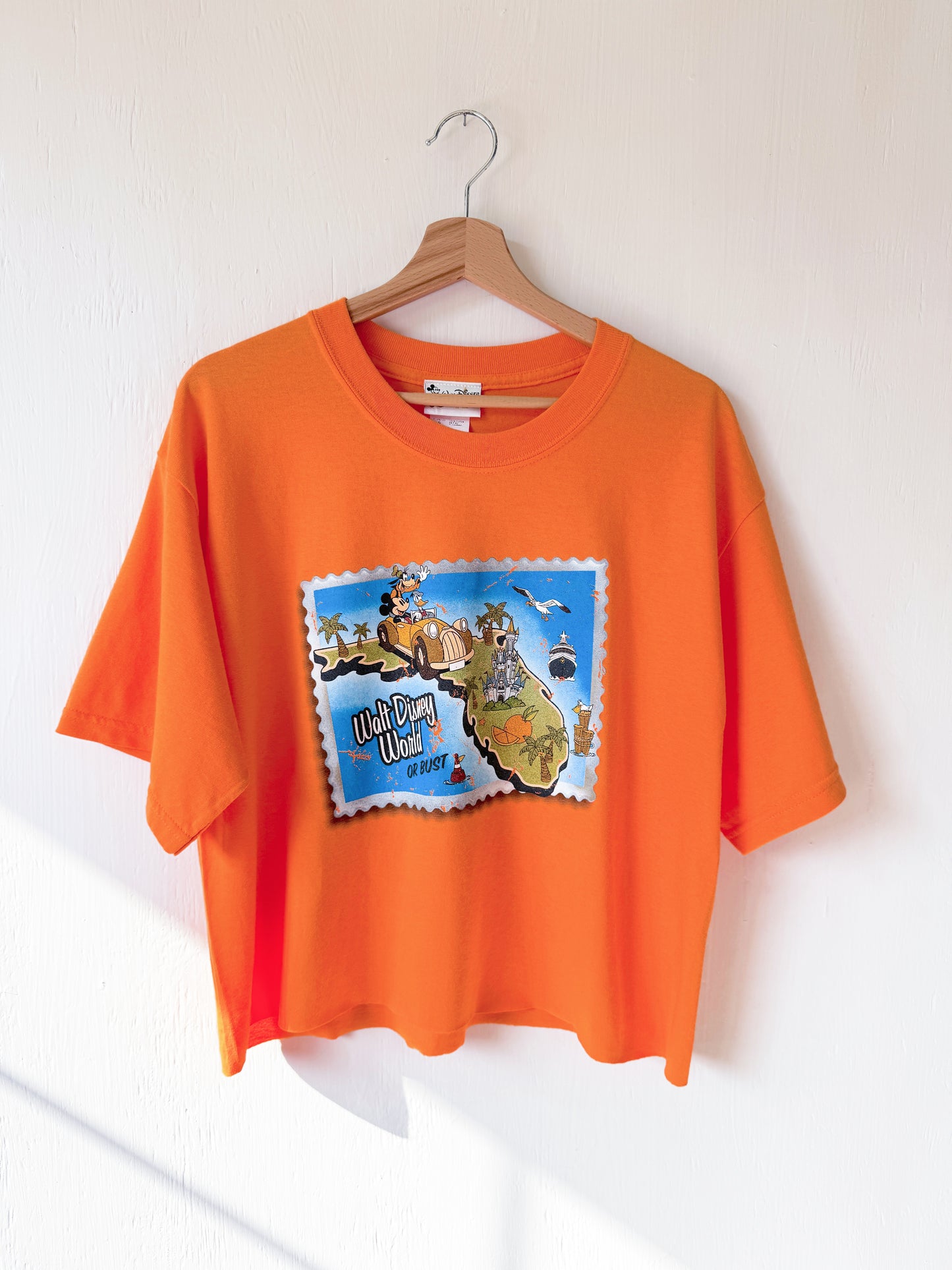 VINTAGE 00’s Disney Or Bust Cropped Tee - L