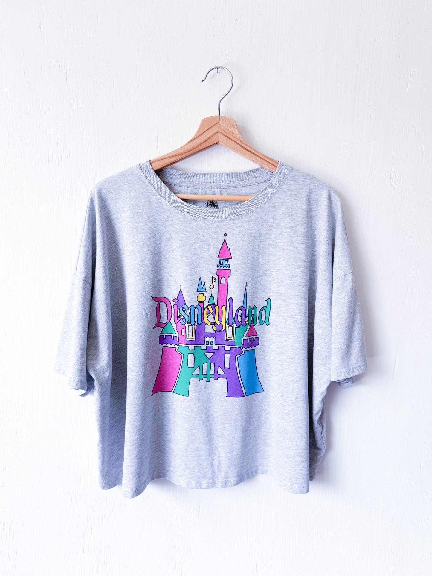 Disney Parks Disneyland Castle Oversized Tee - XL