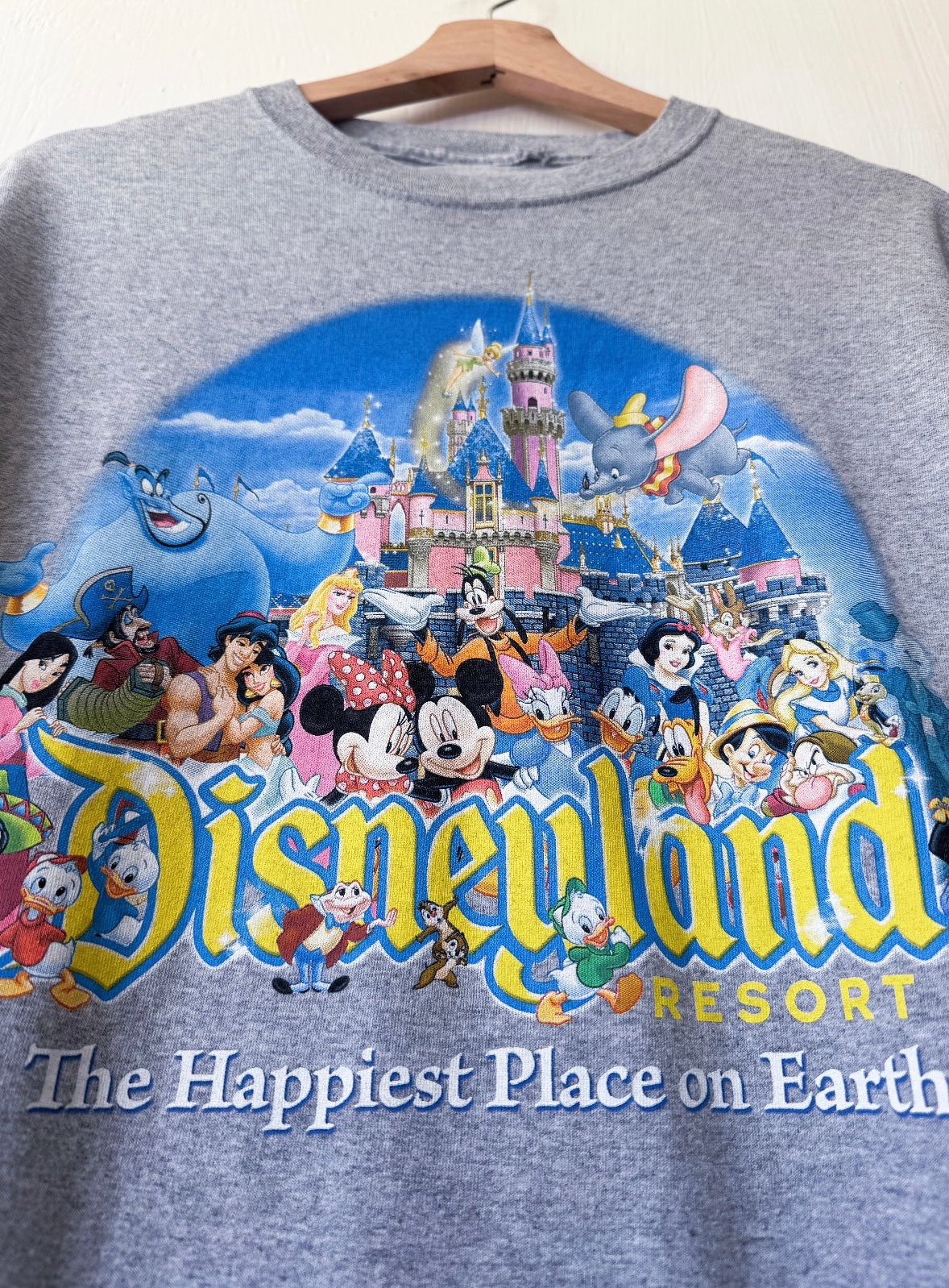 Disney Parks Disneyland Characters Tee - M