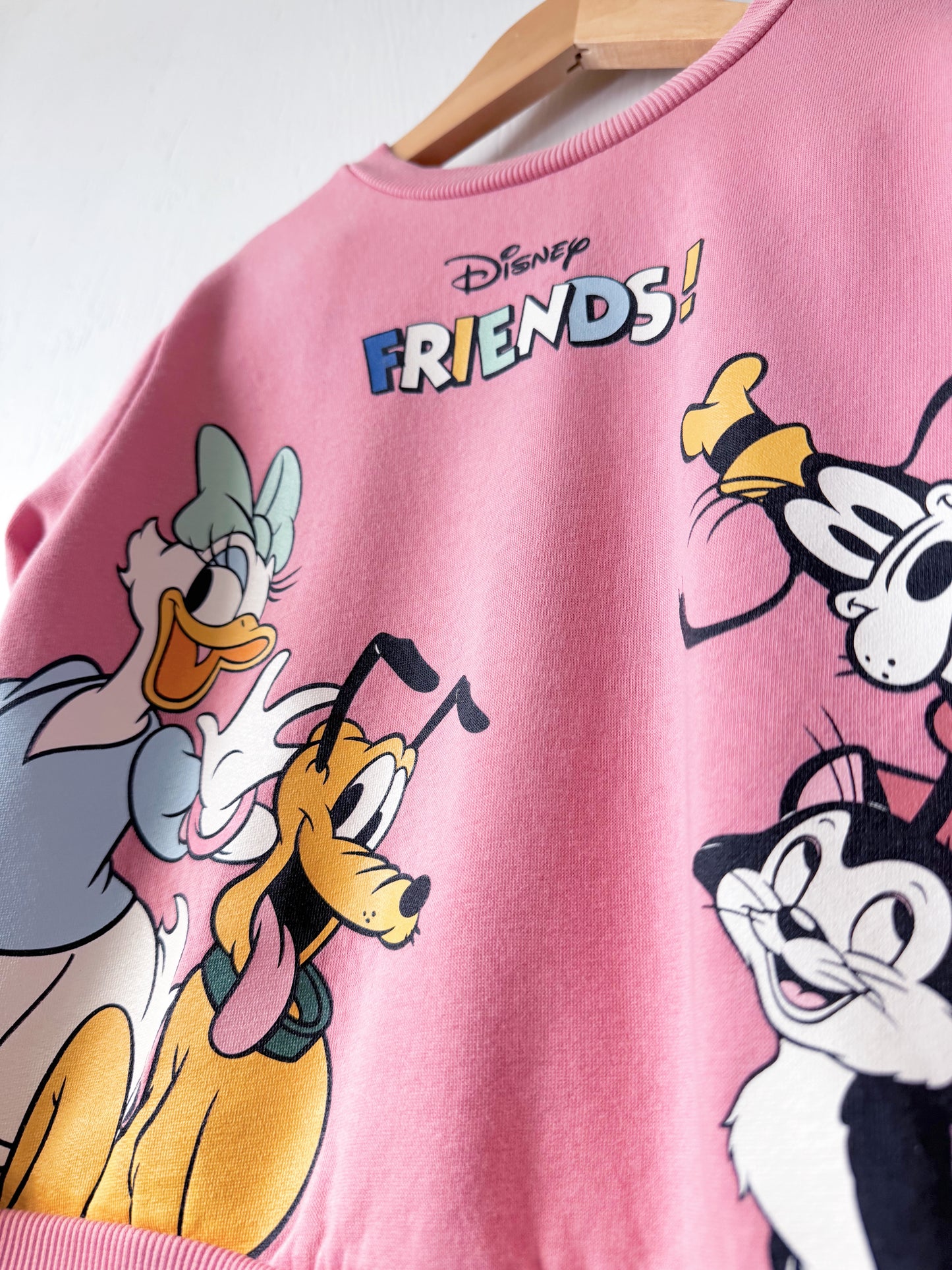Disney Friends Character Crewneck - 5T/6