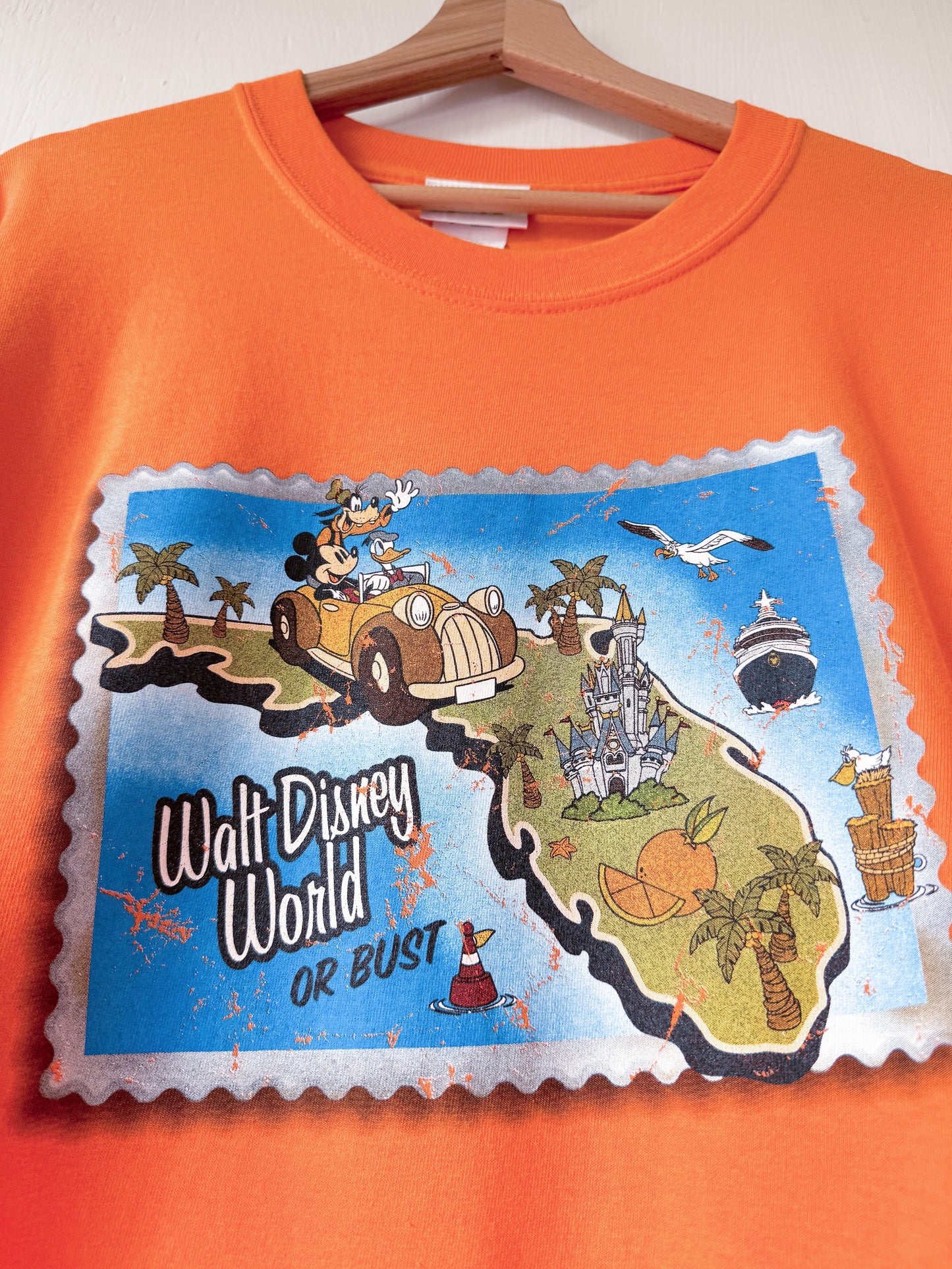 VINTAGE 00’s Disney Or Bust Cropped Tee - L
