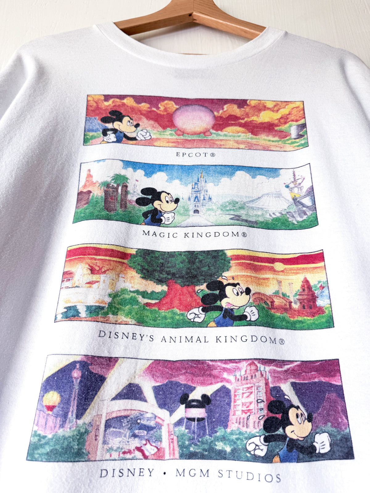 VINTAGE ‘01 Parks Run Disney LS Tee - 2X