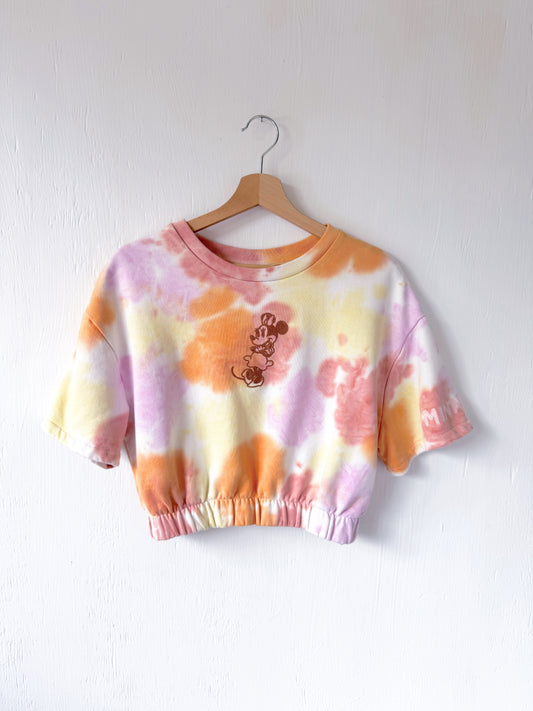 Disney Parks Embroidered Cropped Crewneck - L