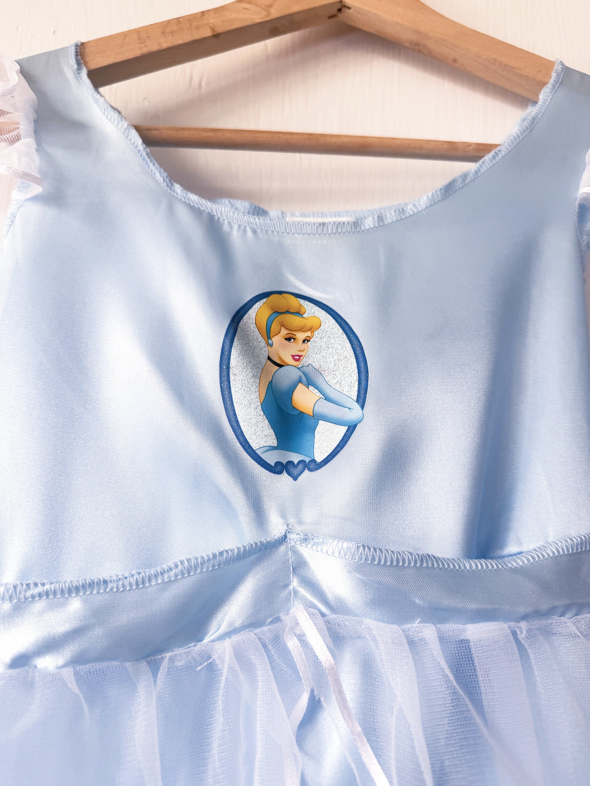 Princess Collection Cinderella Dress - Y4/6X