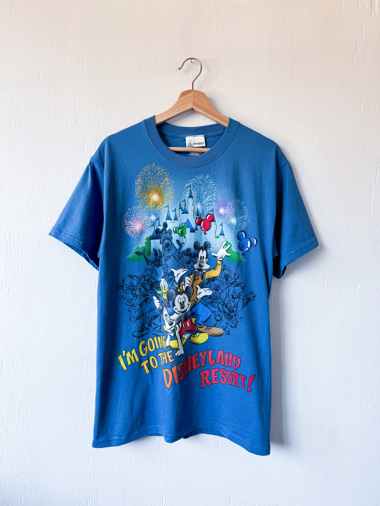 VINTAGE Going To Disneyland Tee - M