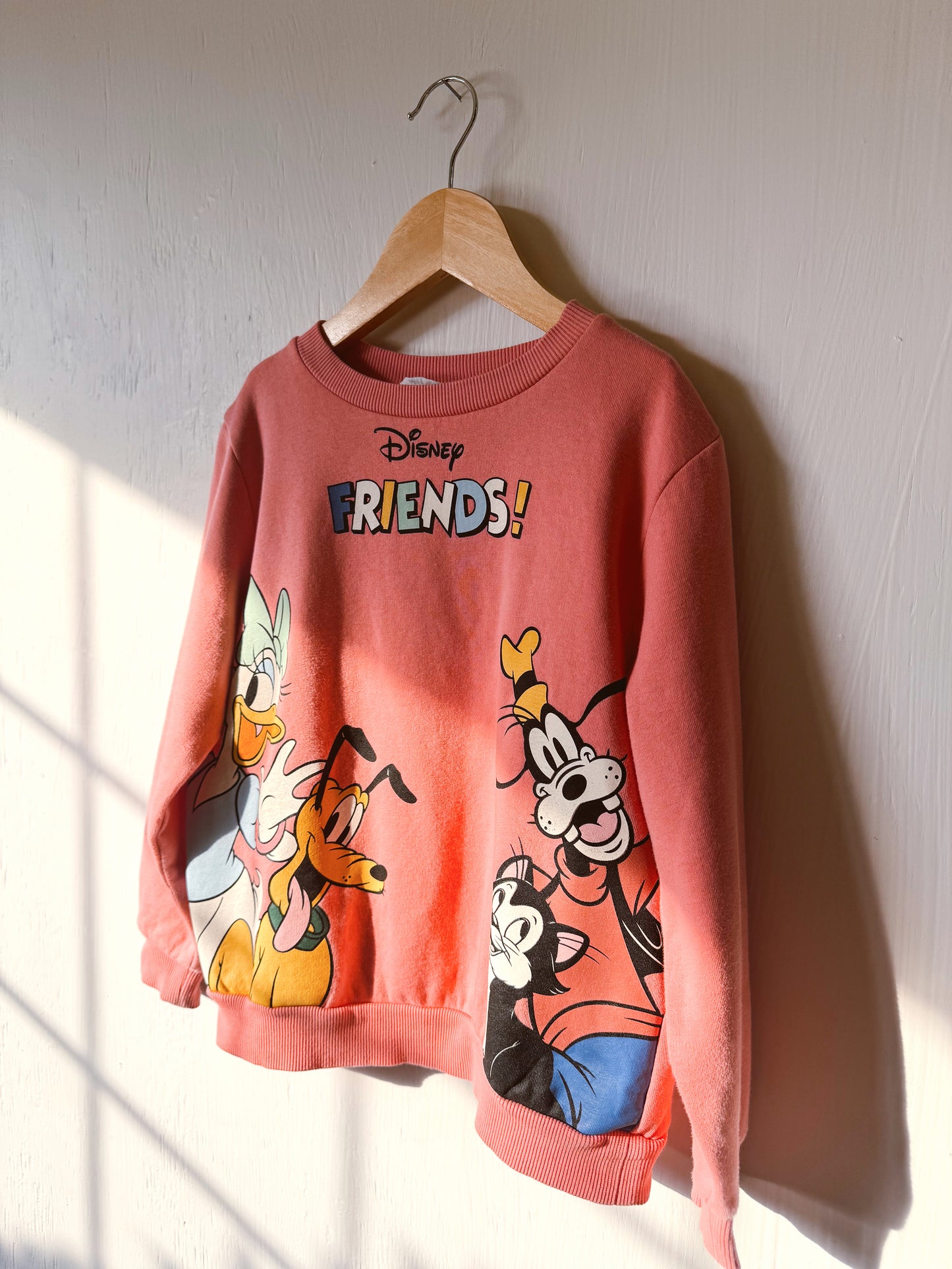 Disney Friends Crewneck Sweatshirt - 6X/7