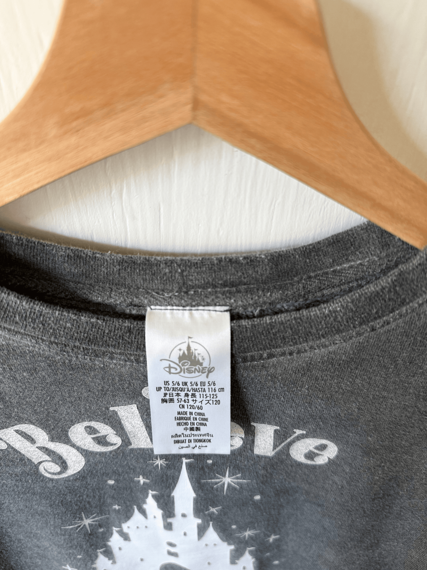 Disney Parks Castle Crewneck - Y5/6