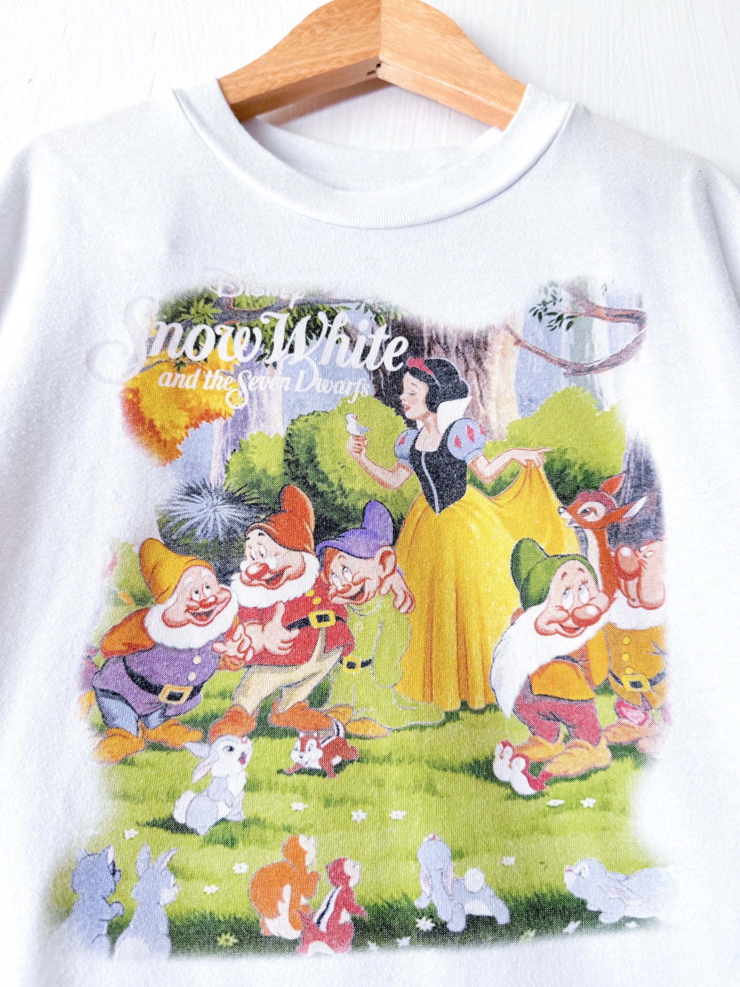 Snow White Scene Boxy Tee - YS